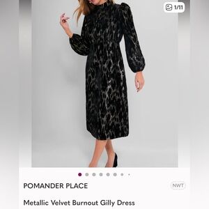 Pomander Place Metallic Velvet Burnout Dress, Black & Gold, size 4